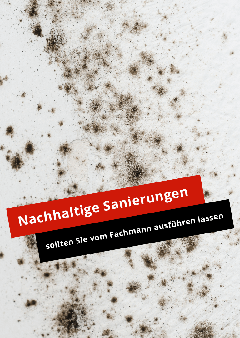 Nachhaltige Schimmelsanierungen vom Fachmann